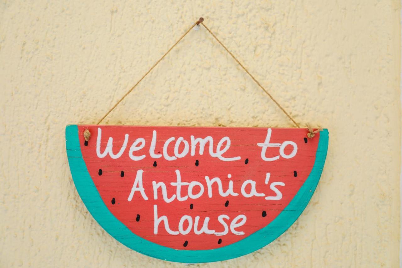 Antonia House Lejlighed Skiathos by Eksteriør billede